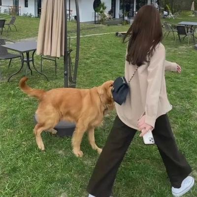 欺诈猎人