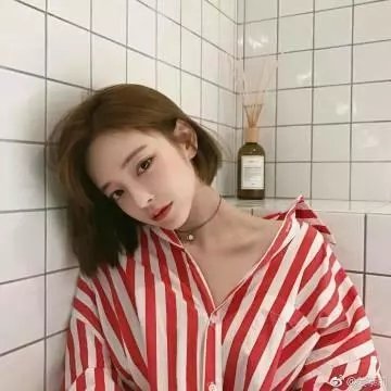 道格与蓝猫