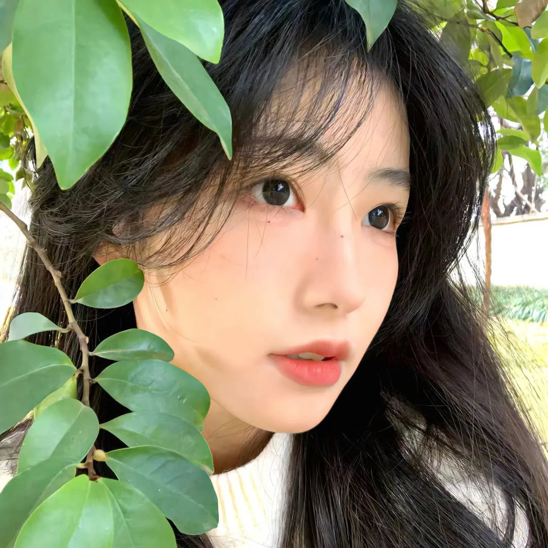 回响 在线观看